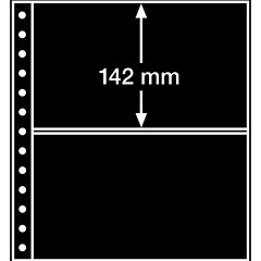 248 x 142 mm