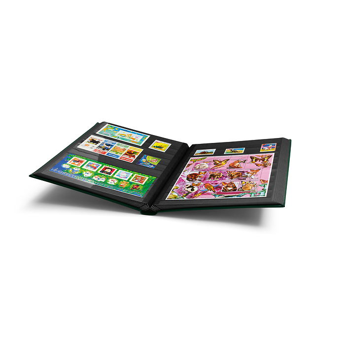 Clasificador PREMIUM, DIN A4, 32 páginas negras, tapa de cuero* acolchada, verde