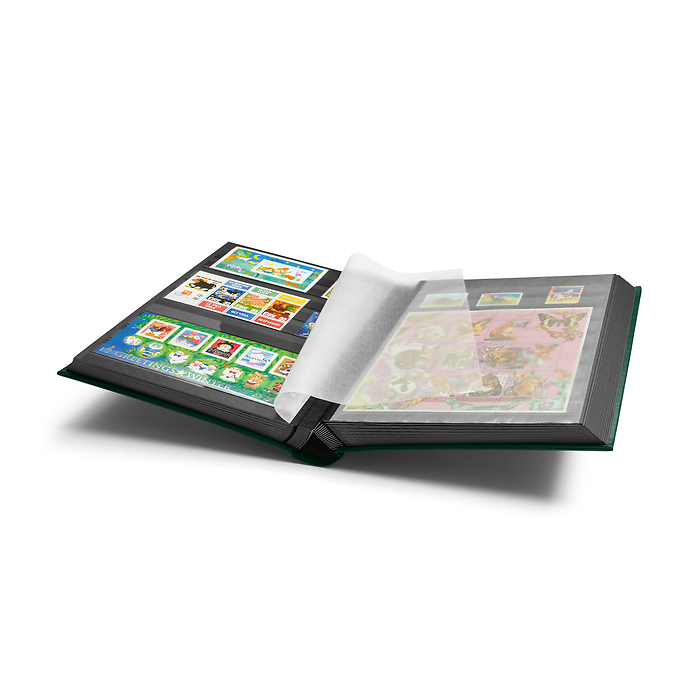 Comfort clasificador,DIN A4, 64 páginas negras, tapa acolchada, verde