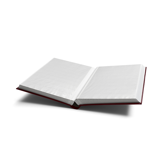 Comfort clasificador, DIN A4,  64 páginas blancas, tapa acolchada, rojo