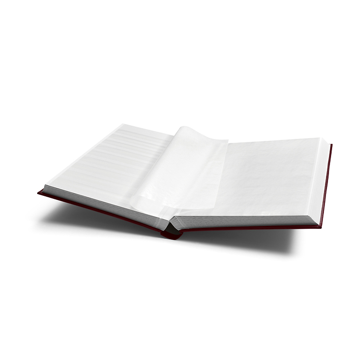 Comfort clasificador, DIN A4,  64 páginas blancas, tapa acolchada, rojo