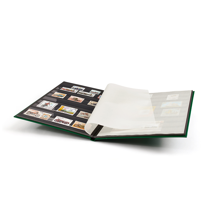 Basic clasificador, DIN A4, 16 páginas negras, tapa no acolchada, verde