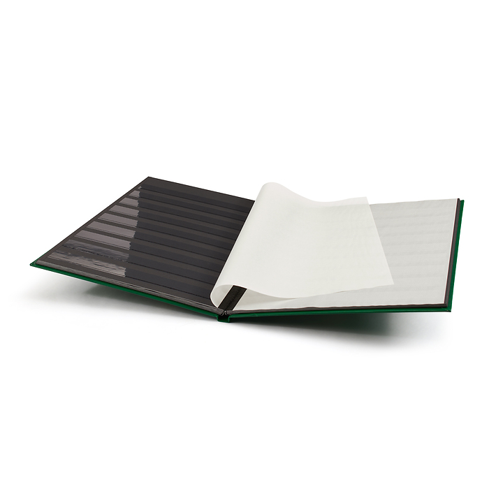 Basic clasificador, DIN A4, 16 páginas negras, tapa no acolchada, verde