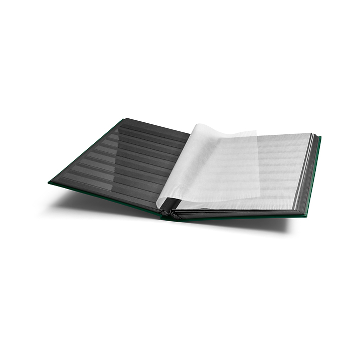 Comfort clasificador,DIN A4, 32 páginas negras, tapa acolchada, verde