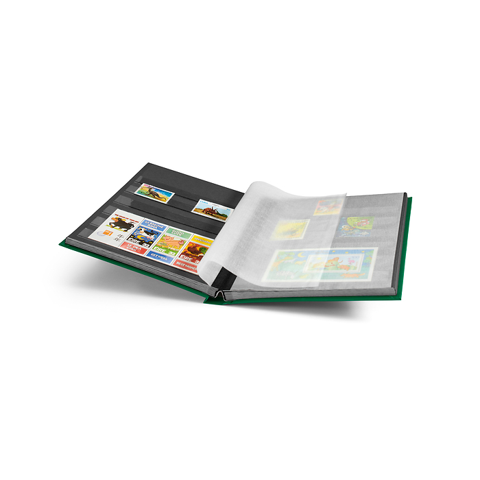 Basic clasificador, DIN A5, 32 páginas negras, tapa no acolchada, verde