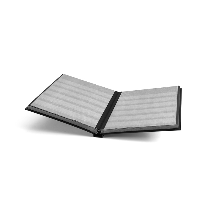 Basic clasificador, DIN A5, 32 páginas negras, tapa no acolchada, negro