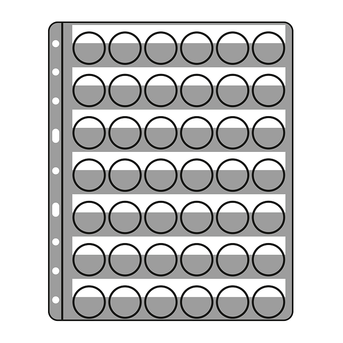 Hojas de plástico Compart para 42 placas de cava/chapas, transparentes, paquete de 5