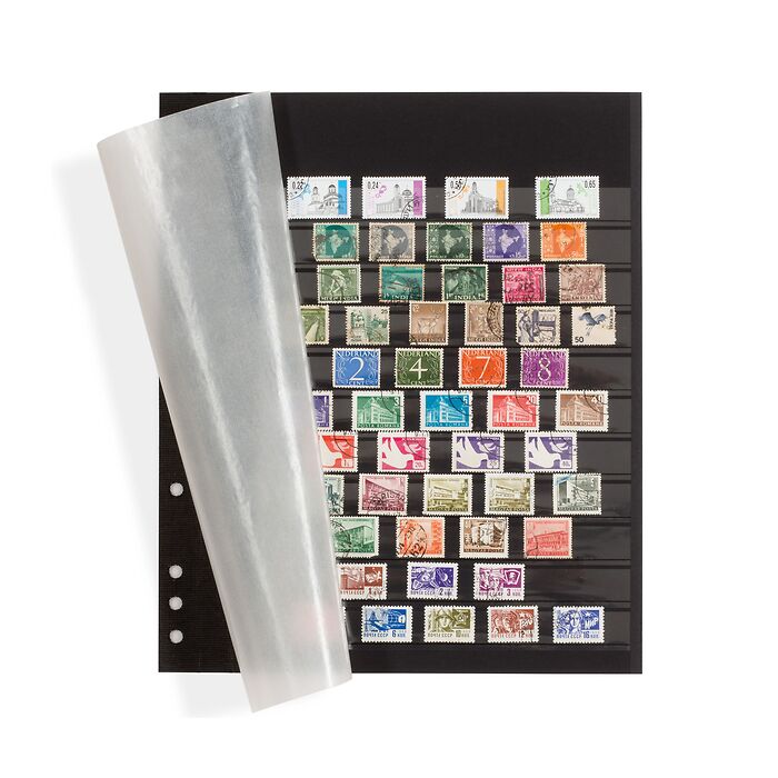 Hojas clasficadoras Omega, cartón negro, 11 bandas transp., hoja protectora brillatina