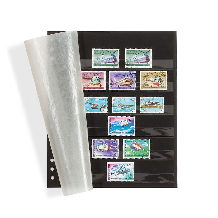 Hojas clasificadoras Omega, catón negro, 6 bandas transp., hoja protectora brillatina