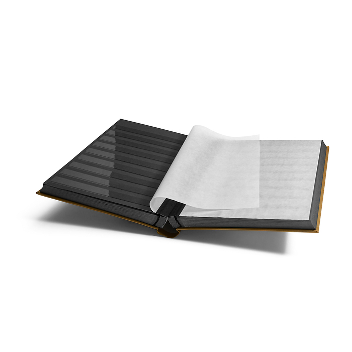 Comfort clasificador, Din A4,  64 páginas negras, tapa acolchada, dorado