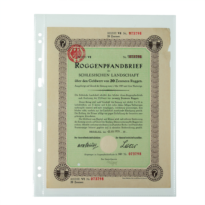 Hojas de plástico Grande Easy, 1 bolsa (A4), PP, claro, paquete de 50