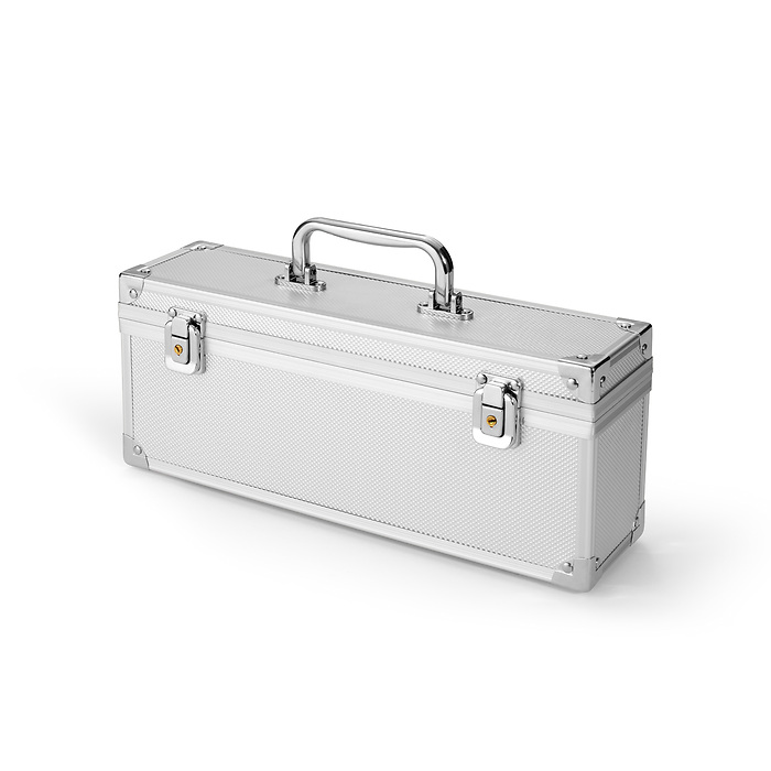 Cargo SQ maletín moneda para 5 Sqube tubos de monedas, plateado